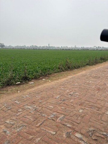 Plot Area in  Land at Gaur Yamuna City Gaur Suites, Gaur Yamuna City – for Sale