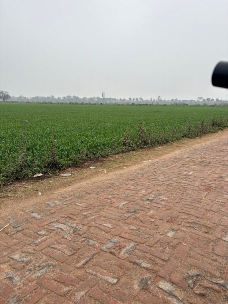 undefined, gaur-yamuna-city-gaur-suites Commercial Land 1 Acre In Gaur Yamuna City Greater Noida 9864514