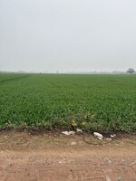 1 Acre Land in Gaur Yamuna City Gaur Suites