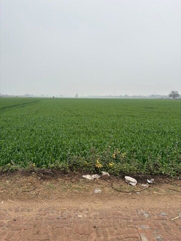  Land For Sale in Gaur Yamuna City Gaur Suites, Gaur Yamuna City