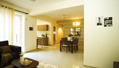 3 BHK Apartment For Sale in Tulip Violet