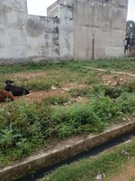 800 Sq.Ft. Plot in Gomti Nagar