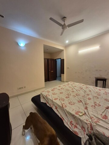 Bedroom in 3 BHK Builder Floor at Ansal Sushant Apartments, Sushant Lok I – for Rent