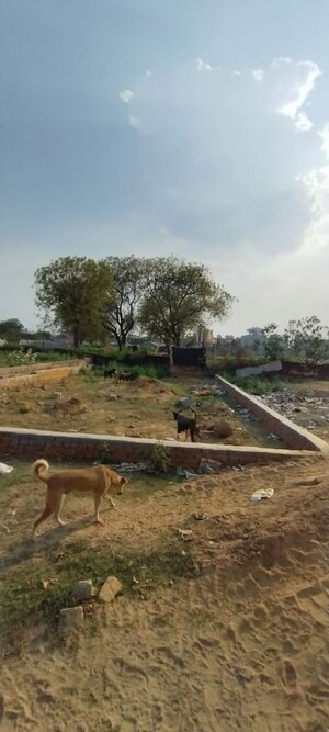 Plot Area in  Plot at Shouryapuram, Lal Kuan – for Sale