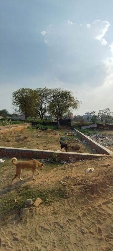 Plot Area in  Plot at Shouryapuram, Lal Kuan – for Sale