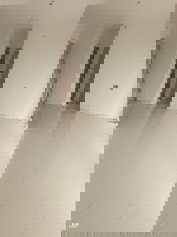 3 BHK Apartment For Rent in Supreme Estia Phase 1