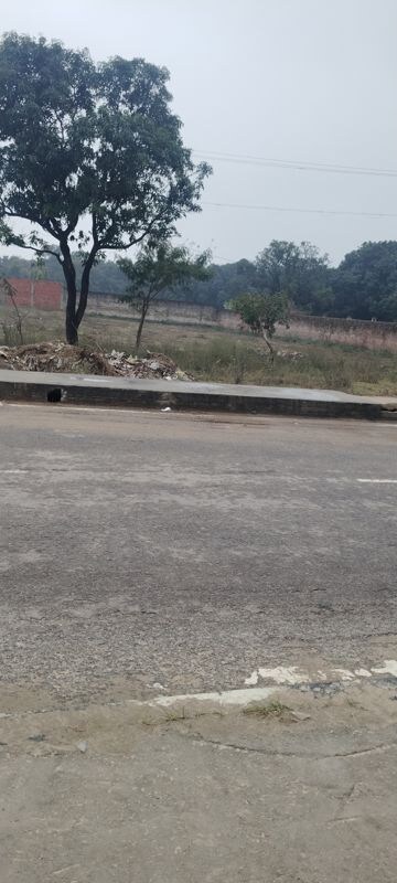 Plot Area in  Land at Salarpur Jalalpur – for Sale