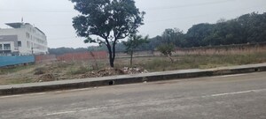 Land For Sale in Salarpur Jalalpur