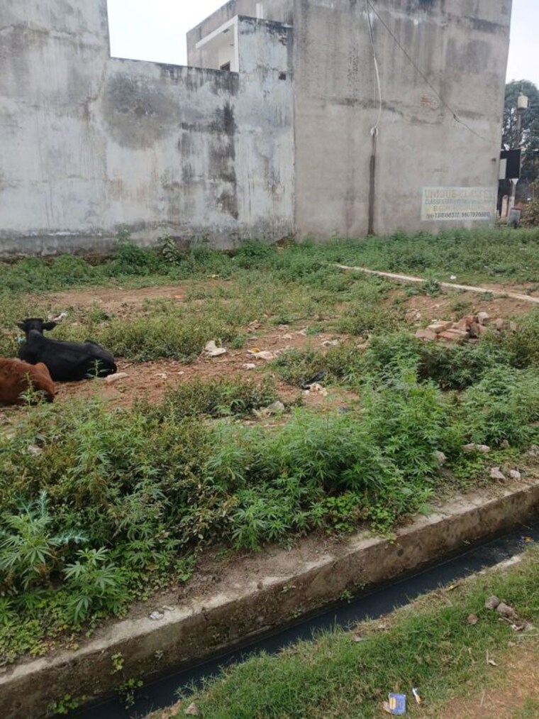 undefined, gomti nagar  1050 Sq.Ft. Plot In Gomti Nagar Lucknow 9865043