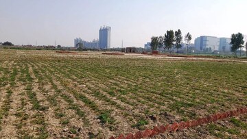 Plot Area in  Plot at Sector 142 – for Sale