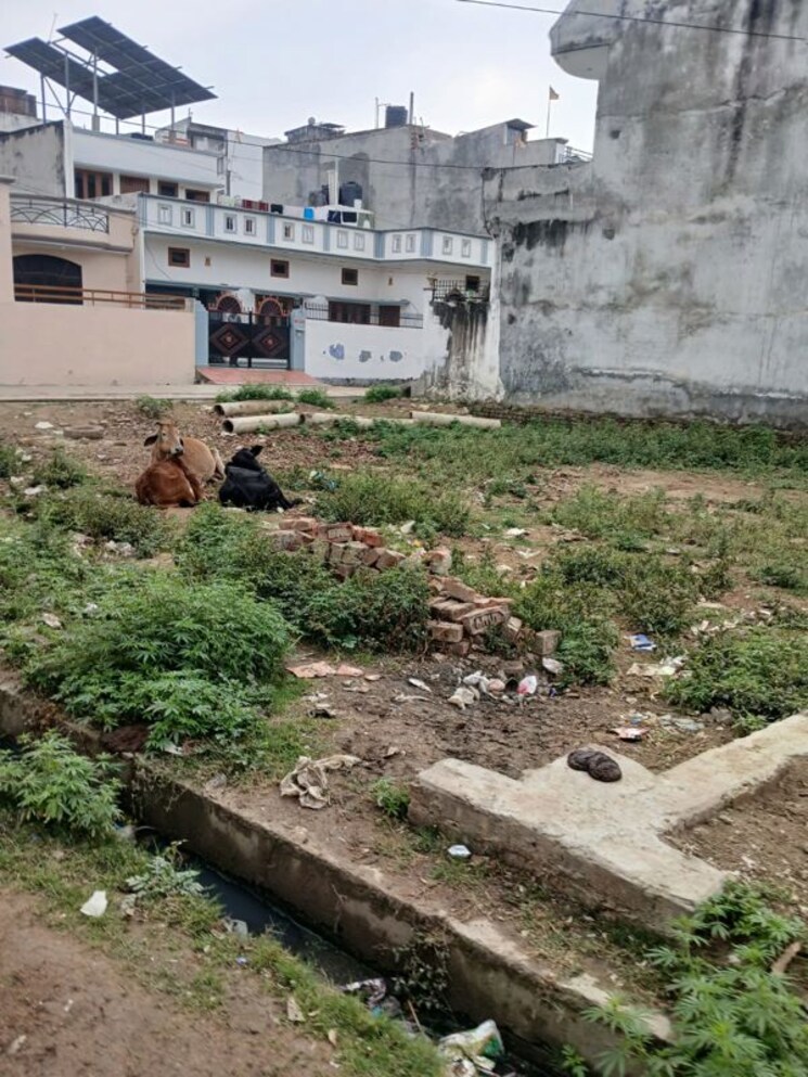 undefined, gomti nagar  1100 Sq.Ft. Plot In Gomti Nagar Lucknow 9865133