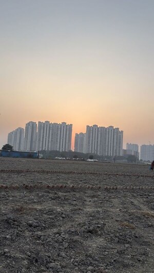  Plot – Exterior View View at Sector 150 - for Rent