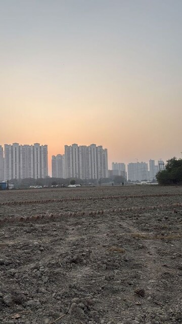  Plot For Rent in Sector 150