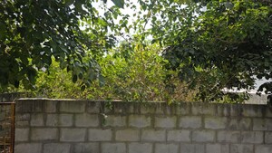   Plot at Lb Shastri Nagar – for Sale