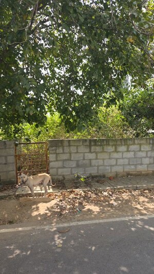Plot Area in  Plot at Lb Shastri Nagar – for Sale