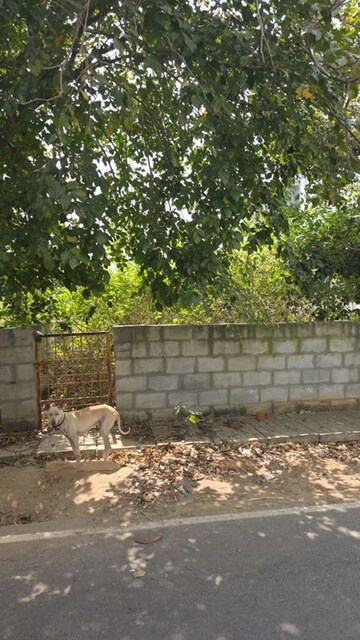 Plot Area in  Plot at Lb Shastri Nagar – for Sale