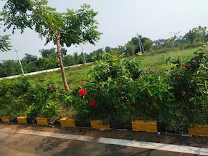 Plot Area in  Plot at Bathini Amrutha Grand Phase 2, Kothavalasa – for Sale