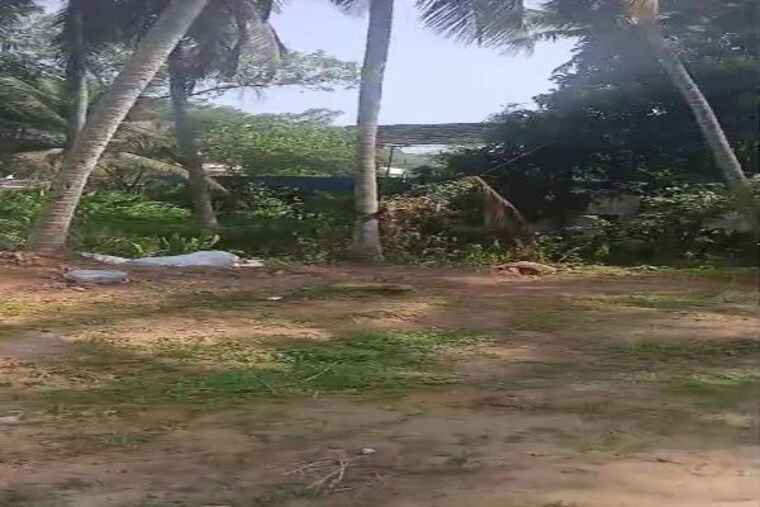 Garden, vazhuthacaud  8915 Sq.Ft. Plot In Vazhuthacaud Thiruvananthapuram 9866227