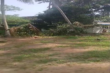 Plot Area in  Plot at Vazhuthacaud – for Sale