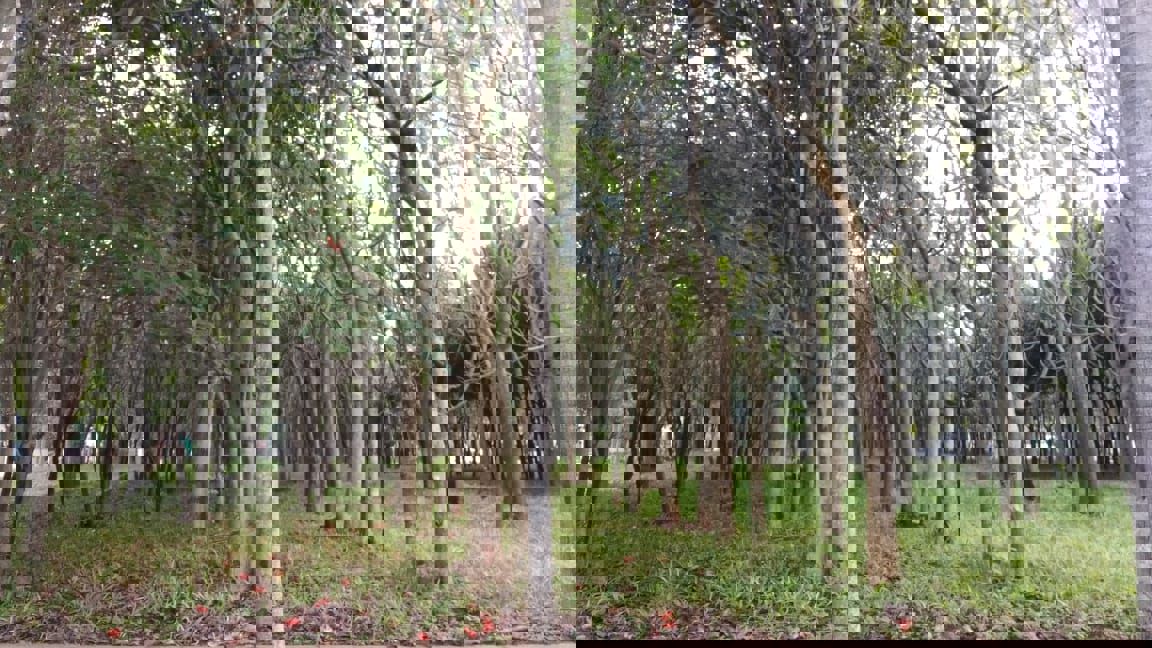 Plot For Sale in Koramangala