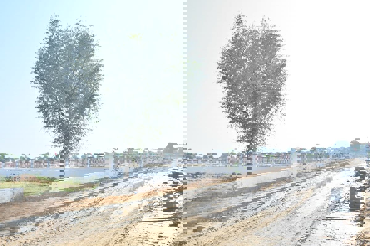 Plot For Sale in Sector 34