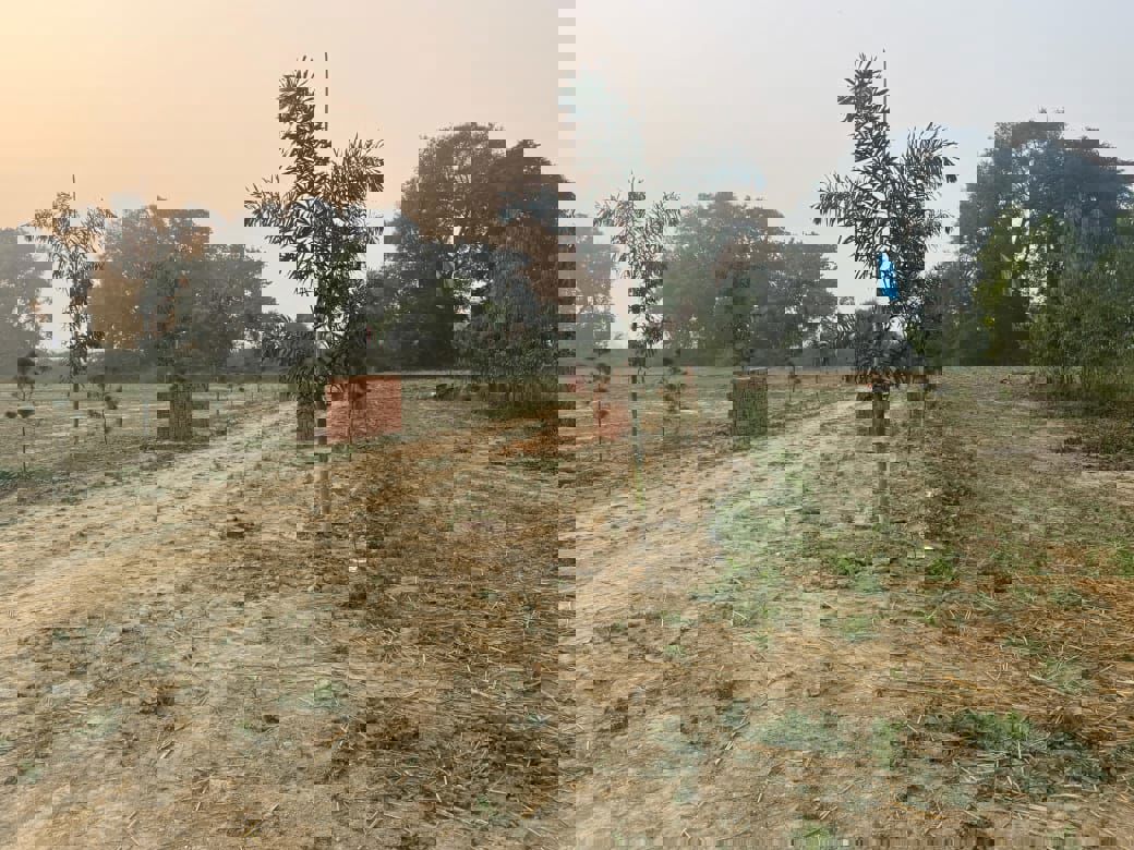 Plot For Sale in Sultanpur Road