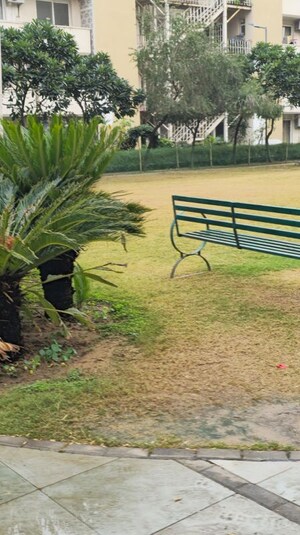 3 BHK Apartment – Garden View at Smart World Orchard, Sector 61 - for Rent