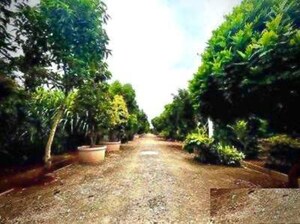  Plot – Garden View at Vatavarana Realty Plots, Ramohalli - for Sale