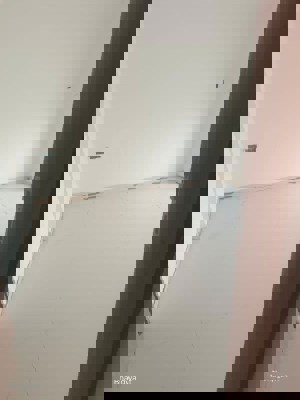 3 BHK Apartment For Rent in Sree Mangal Aishwaryam Greens Phase II