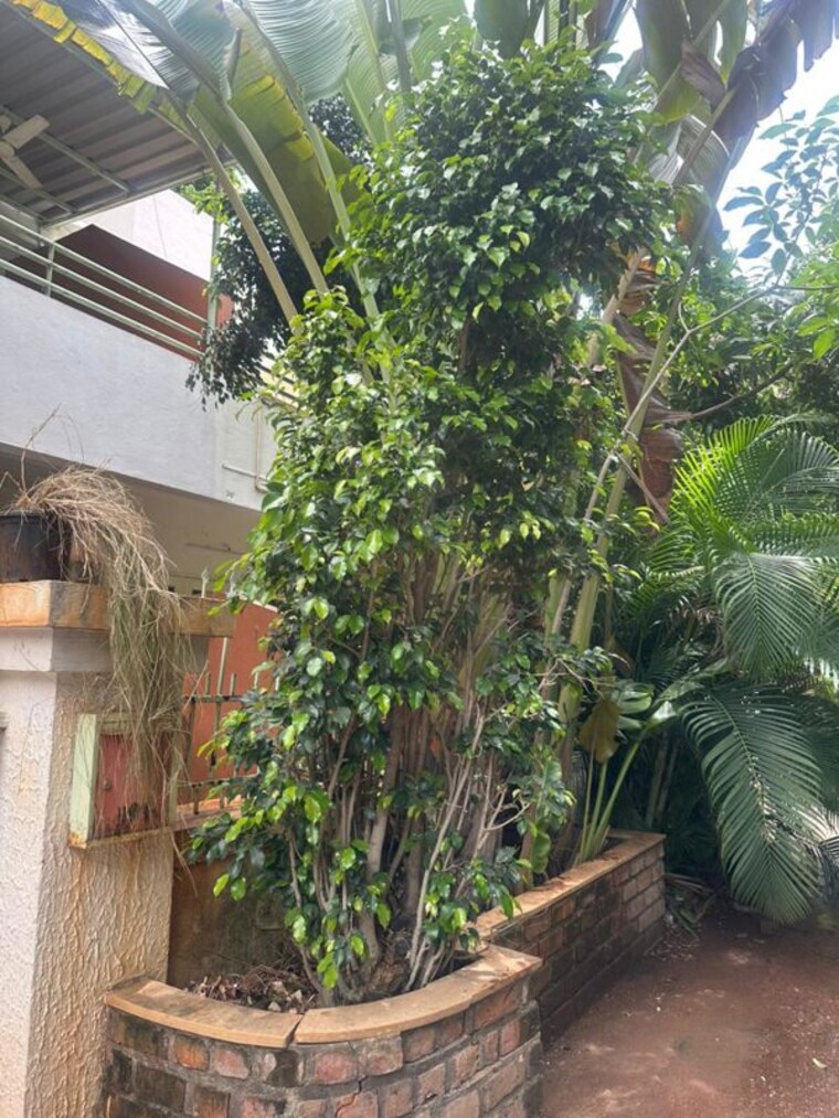 Exterior View, kalpataru-habitat Commercial Showroom 2500 Sq.Ft. In Koregaon Park Pune 9869029