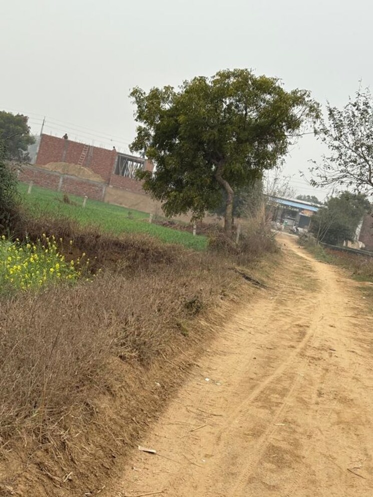 undefined, supertech-airport-vihar Commercial Land 1264 Sq.Mt. In Sector 22d Yamuna Expressway Greater Noida 9869132