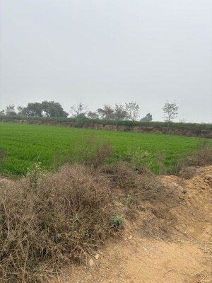 Plot Area in  Land at Supertech Airport Vihar, Sector 22d Yamuna Expressway – for Sale