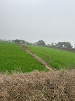 1264 Sq.Mt. Land in Supertech Airport Vihar