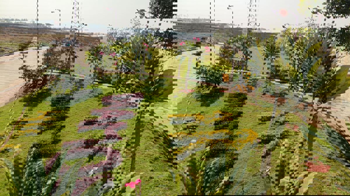 Plot For Sale in TDI city