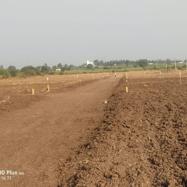 undefined, wagholi  11000 Sq.Ft. Plot In Wagholi Pune 9869905