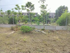 Plot For Sale in Koramangala