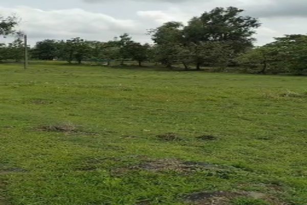 Plot For Sale in Mahaveer Nagar
