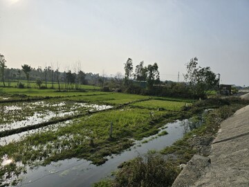 Plot Area in  Land at Shimla Bypass Road – for Sale