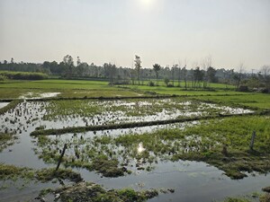 Plot Area in  Land at Shimla Bypass Road – for Sale