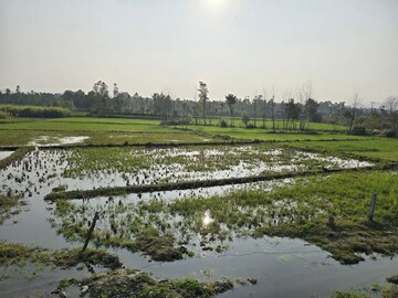 Plot Area in  Land at Shimla Bypass Road – for Sale