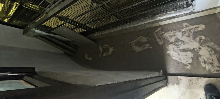 Exterior View, panchsheel vihar 1 Bedroom 360 Sq.Ft. Builder Floor In Panchsheel Vihar Delhi 9870439