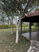 800 Sq.Ft. Plot in Gauribidanur