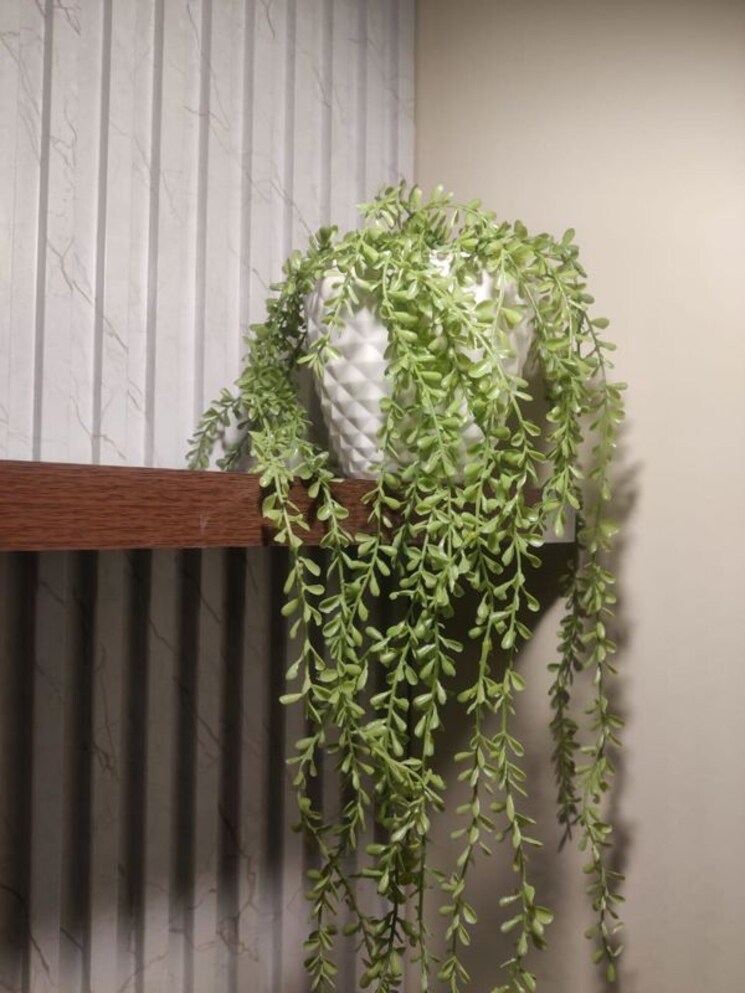 Garden, divyansh-homes 2 Bedroom 950 Sq.Ft. Builder Floor In Indrapuram Ghaziabad 9870585