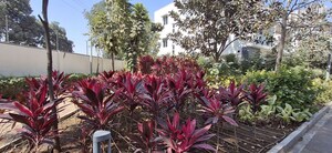 4 BHK Villa – Garden View at Rajapushpa Green Dale, Tellapur - for Rent