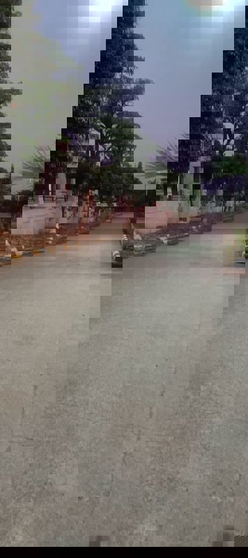 Plot For Sale in Fortune Butterfly City