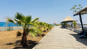  Plot – Exterior View View at Shyam Dholera Global City, Dholera - for Sale