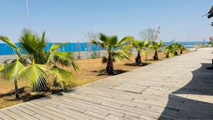  Plot – Exterior View View at Shyam Dholera Global City, Dholera - for Sale