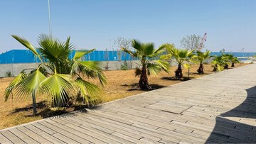  Plot – Exterior View View at Shyam Dholera Global City, Dholera - for Sale