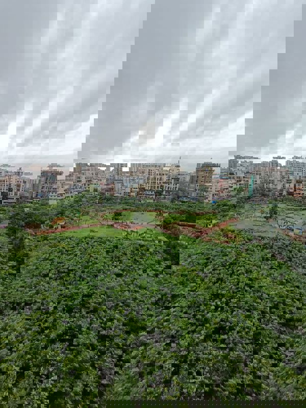 2 BHK Apartment For Sale in Strawberry Onyx