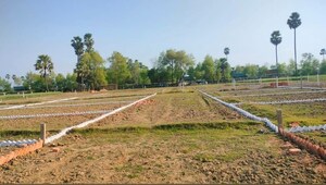 Plot For Sale in Naubatpur